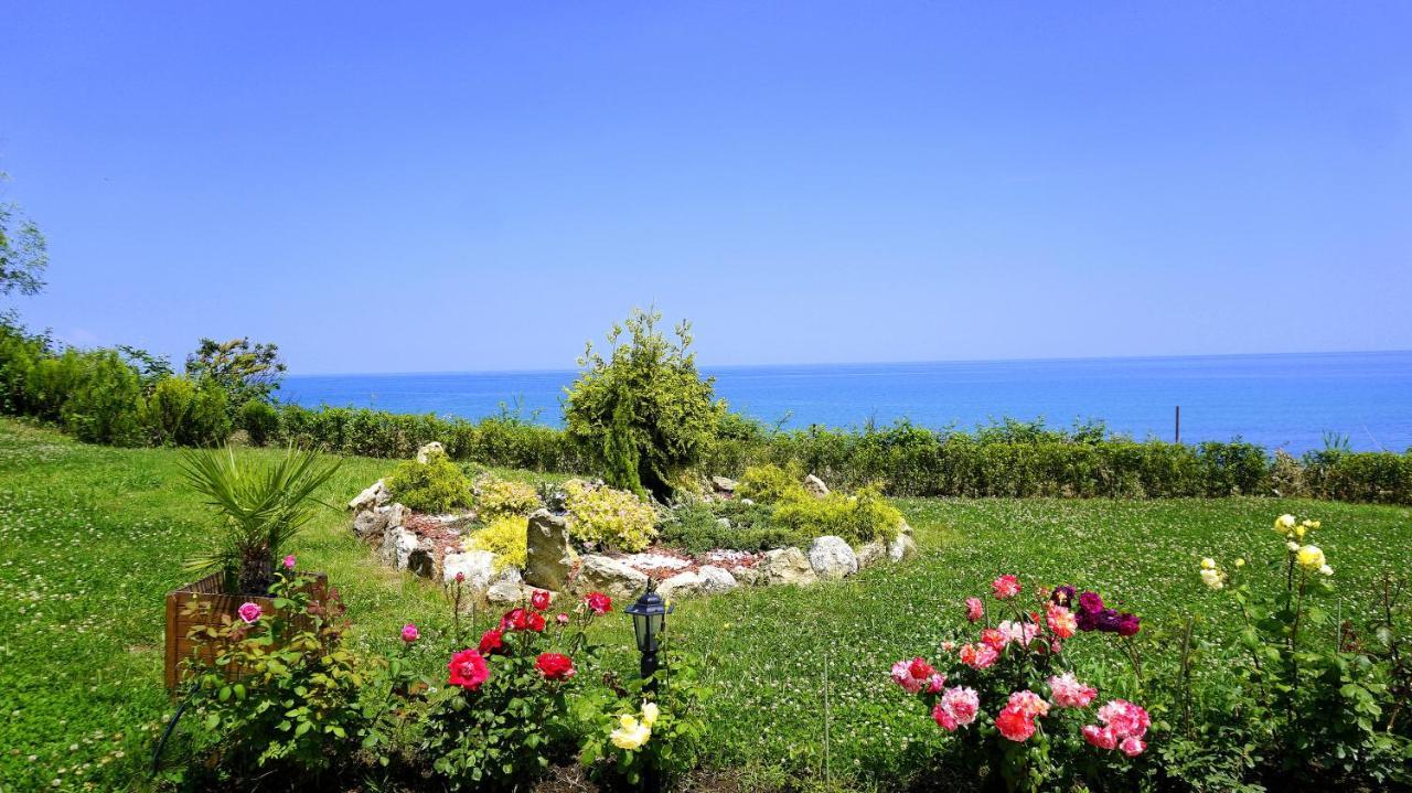 Бяла Клиф Форест - Byala Cliff Forest Luaran gambar