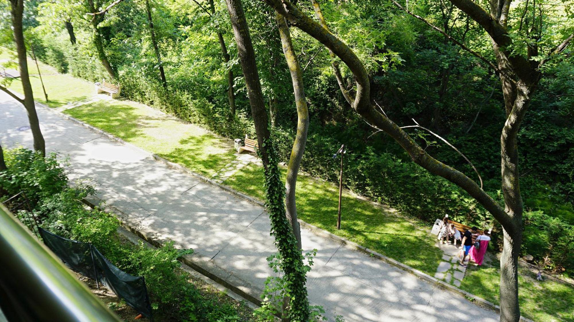 Бяла Клиф Форест - Byala Cliff Forest Luaran gambar
